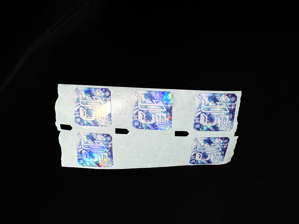681d512fd814f.JPG