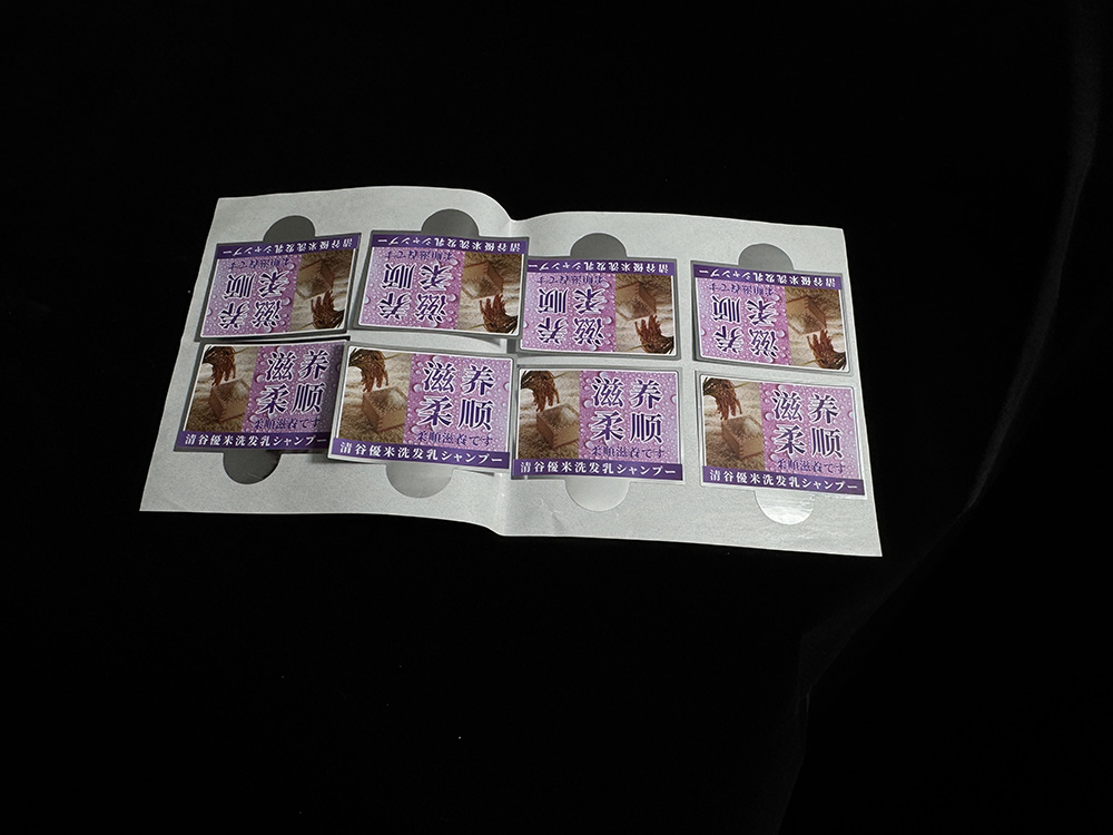 681d53dd726b0.JPG