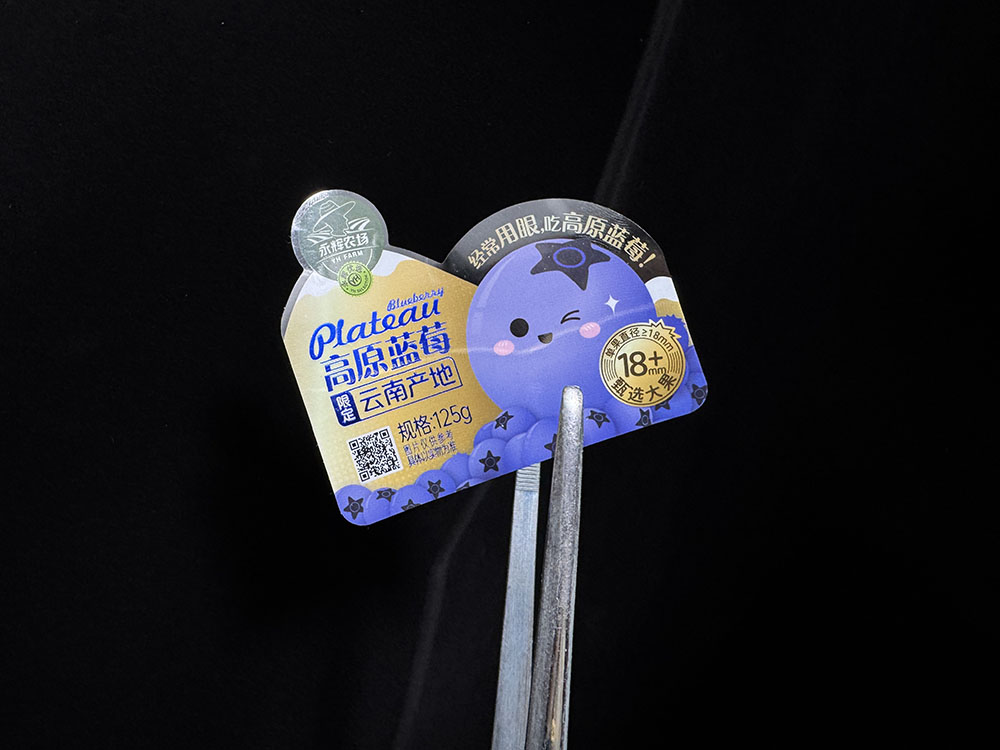 6892bcf083171.JPG